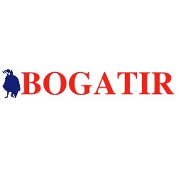 Bogatir