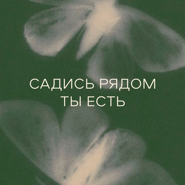 Таня Камыш
