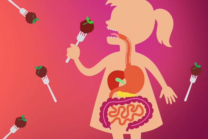 Биолог Илья Колмановский в Амстердаме: «Путешествие фрикадельки»